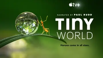 Backdrop for the TV series "Tiny World" #1505893