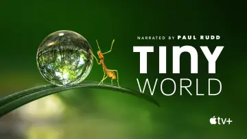 Backdrop for the TV series "Tiny World" #1505894