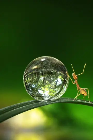 Poster for the TV series "Tiny World" #1505917