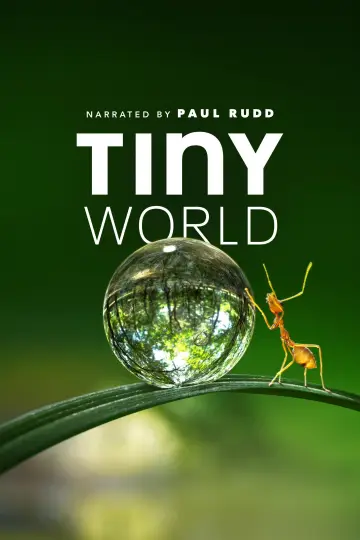 Poster for the TV series "Tiny World" #1505921