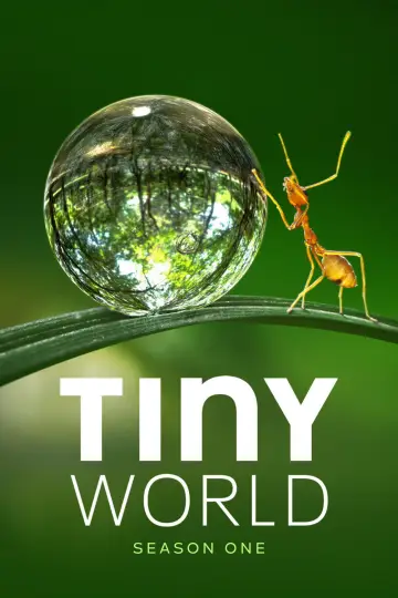 Poster for the TV series "Tiny World" #1758663