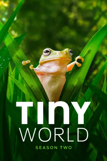 Poster for the TV series "Tiny World" #1758669