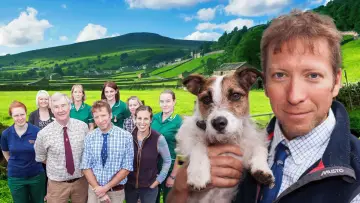Backdrop к сериалу "The Yorkshire Vet" #1444115