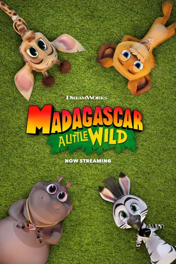 Poster к сериалу "Madagascar: A Little Wild" #1441925