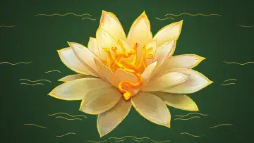 Backdrop к сериалу "The White Lotus" #1269064