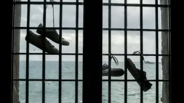 Backdrop for the TV series "The Sea Beyond" #1398388