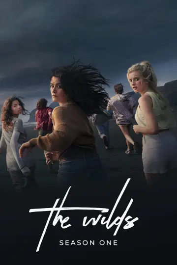 Poster for the TV series "The Wilds" #1730299