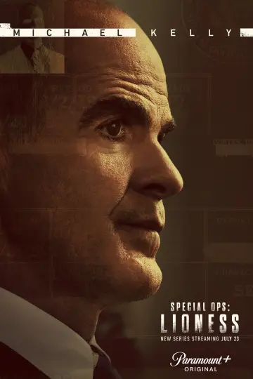 Poster for the TV series "Lioness" #1534215