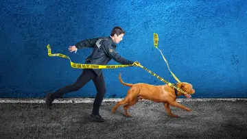 Backdrop к сериалу "Turner & Hooch" #1448007