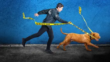 Backdrop к сериалу "Turner & Hooch" #1448008