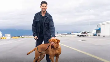 Backdrop к сериалу "Turner & Hooch" #1448009