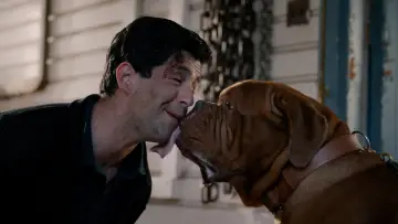 Backdrop for the TV series "Turner & Hooch" #1661355