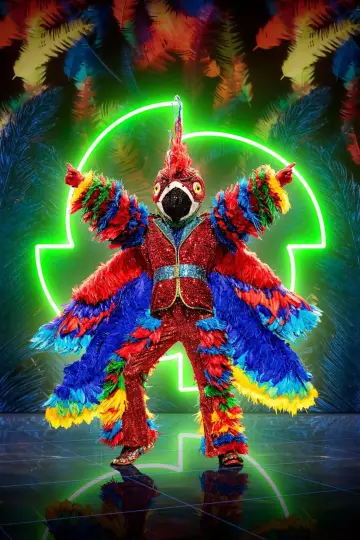 Poster for the TV series "The Masked Singer" #1794827