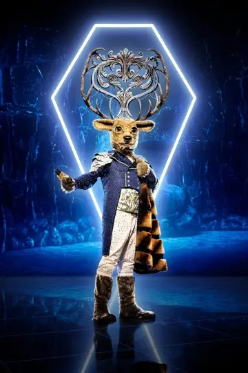 Poster for the TV series "The Masked Singer" #1794832