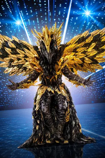 Poster for the TV series "The Masked Singer" #1794833