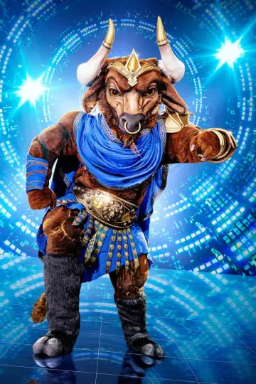Poster for the TV series "The Masked Singer" #1794834