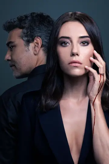 Poster for the TV series "A Woman Scorned" #1356248