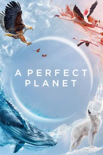 Poster for the TV series "A Perfect Planet" #1605223