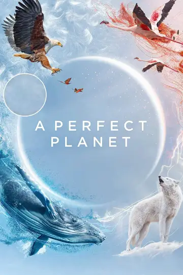 Poster for the TV series "A Perfect Planet" #1605224