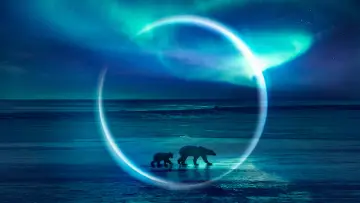 Backdrop for the TV series "Frozen Planet II" #1796321