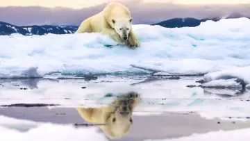 Backdrop for the TV series "Frozen Planet II" #1796324
