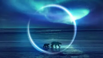 Backdrop for the TV series "Frozen Planet II" #1796327