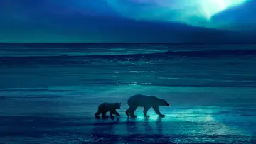 Backdrop for the TV series "Frozen Planet II" #1796328