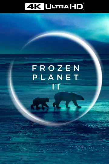 Poster for the TV series "Frozen Planet II" #1796337