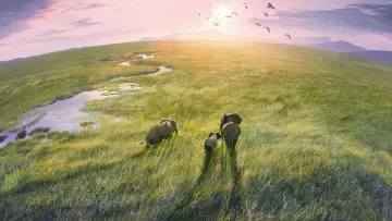 Backdrop к сериалу "Planet Earth III" #1485036