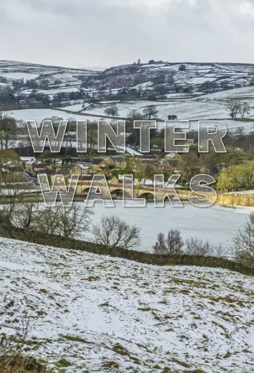Winter Walks Poster