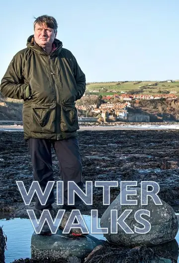 Poster for the TV series "Winter Walks" #1833555