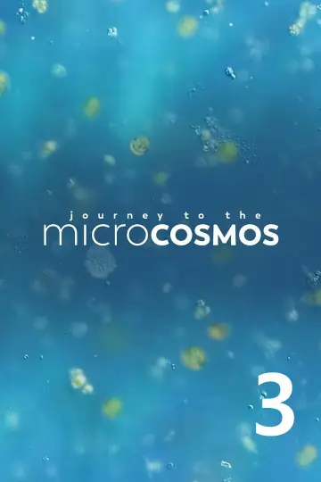 Season 3