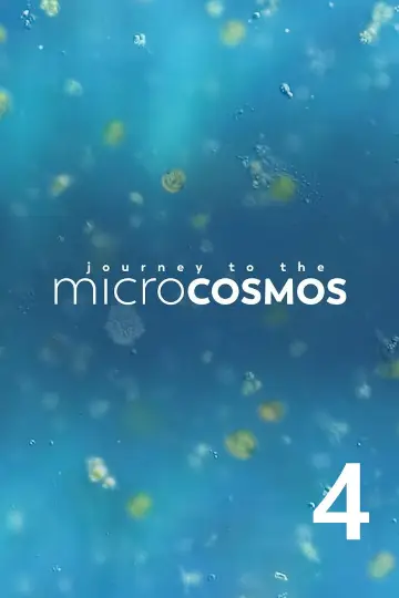 Season 4