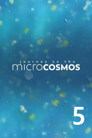 Season 5