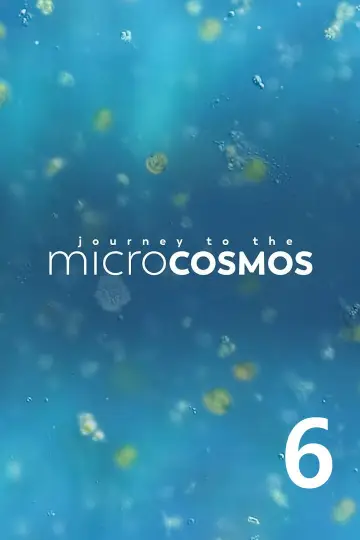 Season 6