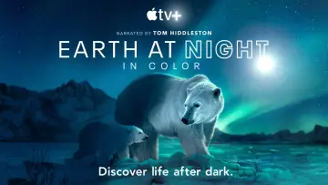 Backdrop for the TV series "Earth at Night in Colour" #1417606