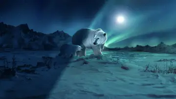 Backdrop for the TV series "Earth at Night in Colour" #1417611