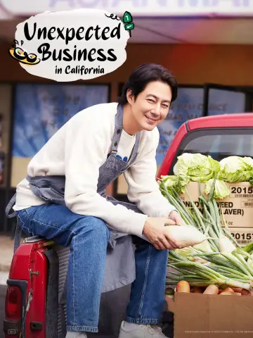 Poster for the TV series "Unexpected Business" #1921580