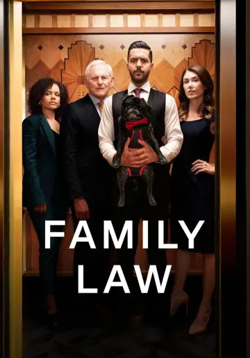 Poster к сериалу "Family Law" #1395606
