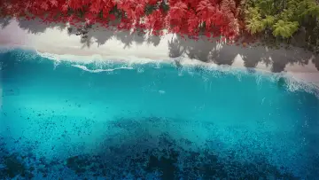 Backdrop к сериалу "Fantasy Island" #1419278