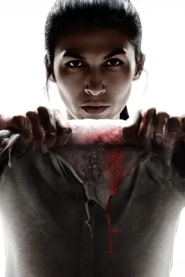Poster for the TV series "The Cleaning Lady" #1299798