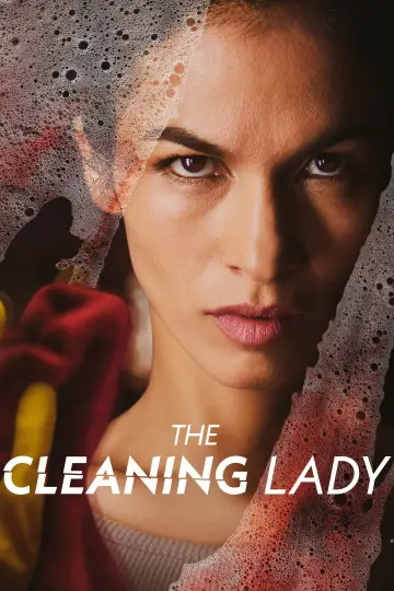 Poster for the TV series "The Cleaning Lady" #1299800