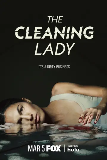 Poster for the TV series "The Cleaning Lady" #1299807