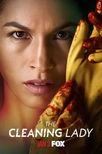 Poster for the TV series "The Cleaning Lady" #1299809