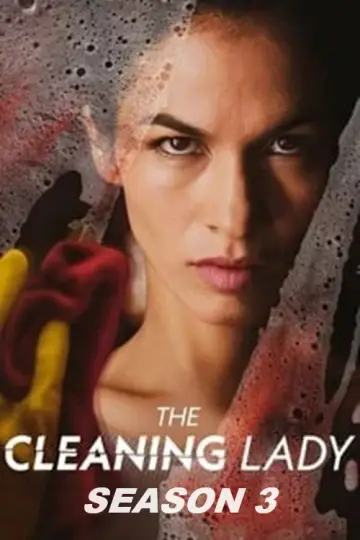 Poster for the TV series "The Cleaning Lady" #1612992