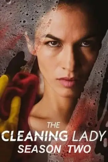 Poster for the TV series "The Cleaning Lady" #1612993