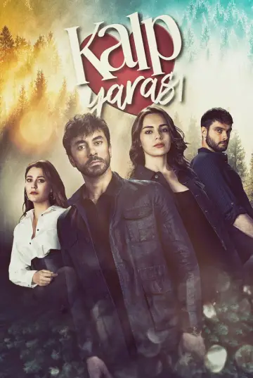 Poster for the TV series "Wounded Heart" #1745367