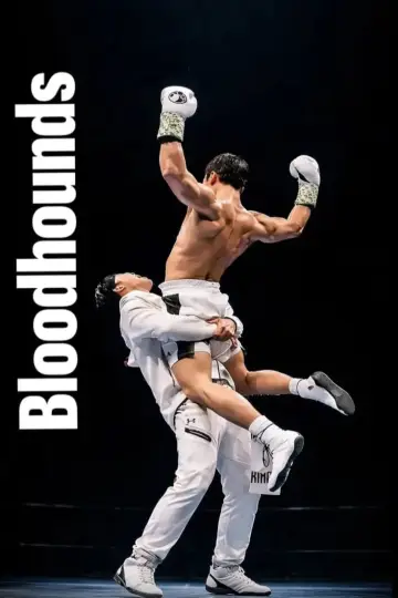 Poster for the TV series "Bloodhounds" #1536110