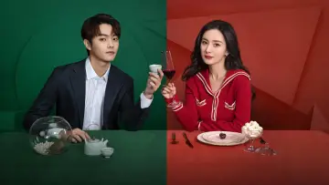 Backdrop for the TV series "She and Her Perfect Husband" #1812028