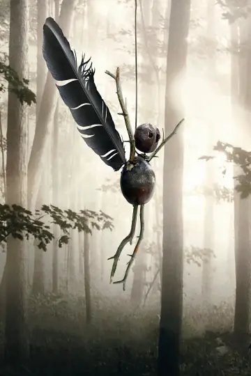 Poster к сериалу "The Chestnut Man" #1383818